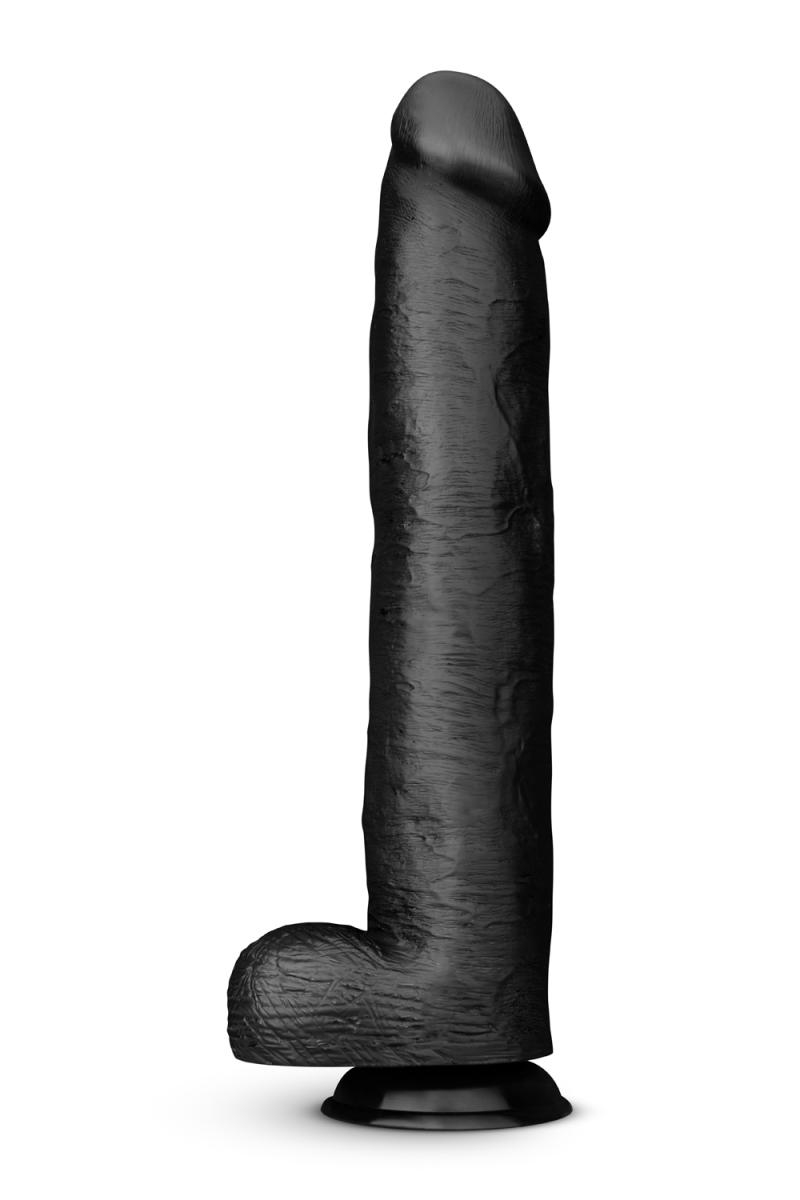 21482-1778170280.jpg